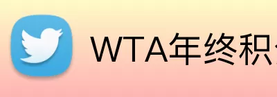 WTA年终积分排名 logo